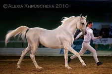 гнев.webp