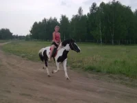 x_89010f15.webp