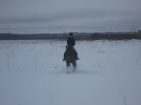 x_e05e30f1.webp