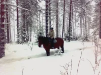 150120112599.webp