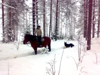 150120112603.webp