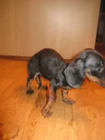 x_71a0ba06.webp