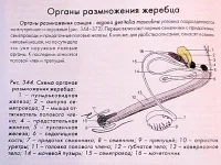 00.webp