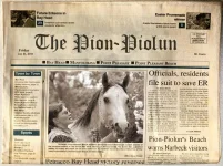 The Pion-Piolun.webp