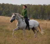 катя на принце.webp