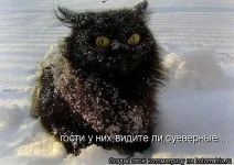 x_d6b5d418.webp