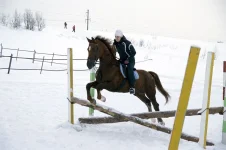 Zykov.22.01.webp