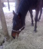 140120112890.webp
