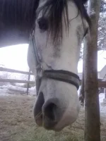 140120112894.webp