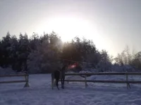 180120112927.webp