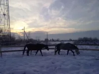 140120112917.webp