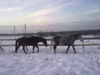 140120112918.webp