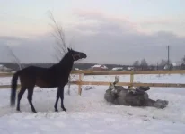 140120112924.webp