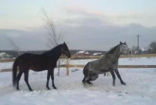 140120112925.webp