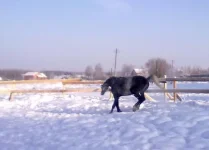 180120112928.webp