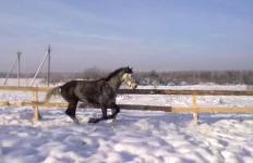 180120112932.webp
