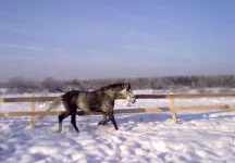180120112940.webp