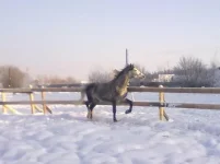 180120112930.webp