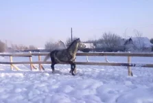180120112938.webp