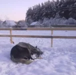 180120112948.webp