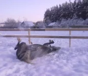 180120112949.webp