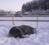 180120112950.webp