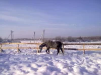 180120112958.webp