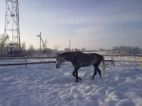 180120112959.webp