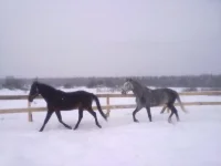 240120112969.webp