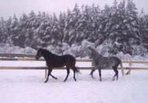 240120112976.webp