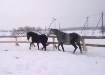 240120112970.webp