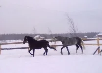 240120112977.webp