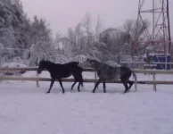 240120112978.webp