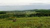 DSC02129.JPG