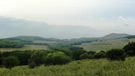 DSC02121.webp