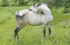 DSC02427.webp