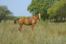 DSC00687.webp