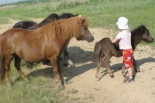 DSC00663.webp