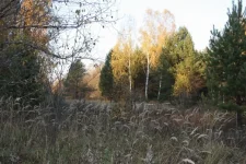 x_1ac25803.webp
