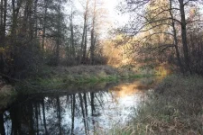x_241e8ac0.webp