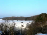 SAM_0401.webp