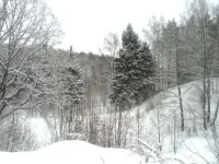 SAM_0231.webp