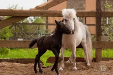 getImageCA6C8FJ4.webp