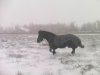 IMG0103A.jpg