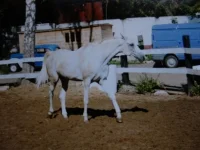 x_ea5bd6e9.webp