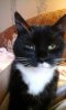 20160505_090204.jpg