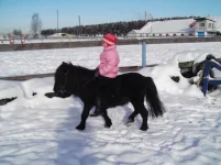 DSCF0192.webp