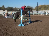 DSCF0817.webp