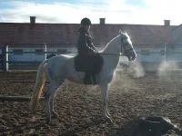 DSCF0816.webp