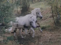 DSCF0441.webp